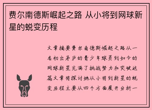 费尔南德斯崛起之路 从小将到网球新星的蜕变历程